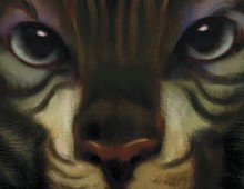 The Guardian of Birds | Corel | 2013
