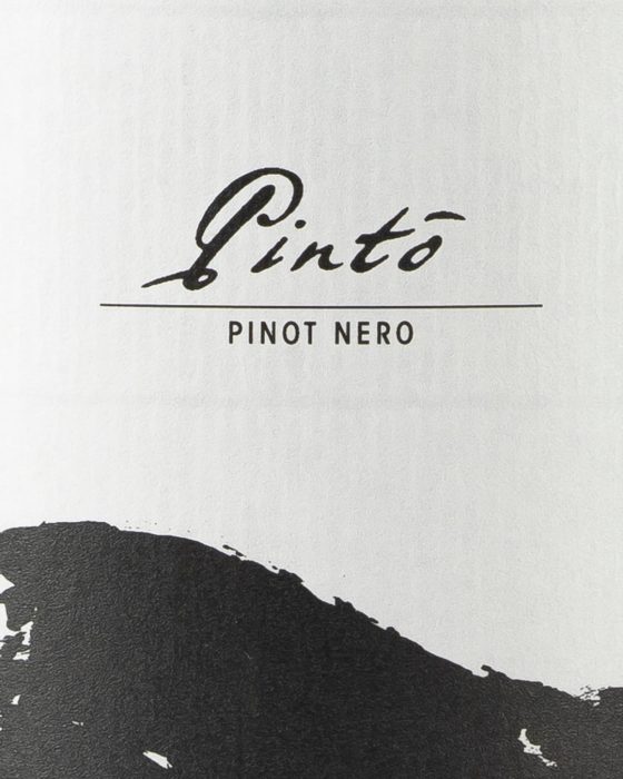 Pinto - winelabel - rebelot