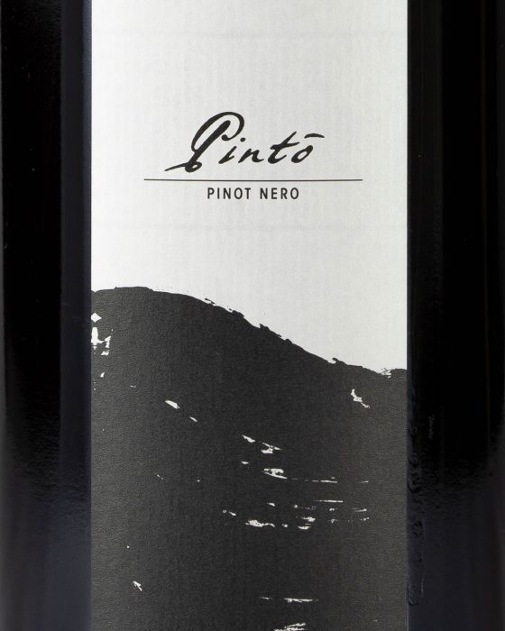 Pinto - winelabel - rebelot